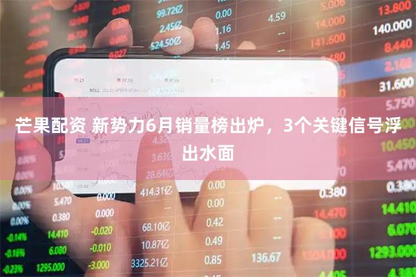 芒果配资 新势力6月销量榜出炉，3个关键信号浮出水面